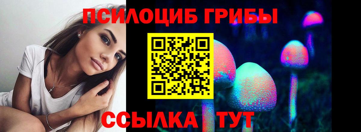 Псилоцибиновые грибы GOLDEN TEACHER  Вход с VPN  Среднеуральск  Псилоцибиновые грибы MAGIC MUSHROOMS 
